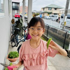 順調に育っています！